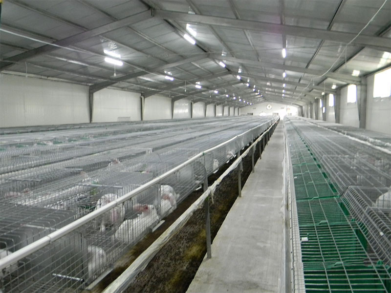 養(yǎng)兔工程案例(圖2)